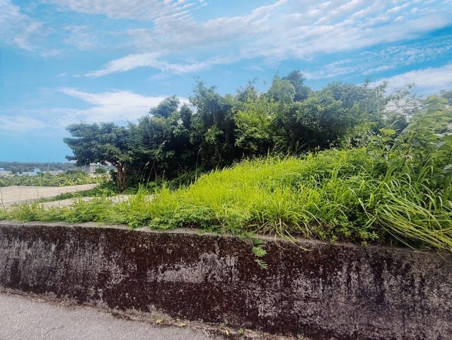 【土地】八重瀬町安里（全3区画）の外観|【現地撮影】2025.6月
すぐご案内できます♪