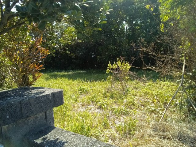 【売地】金武町屋嘉－１区画の外観