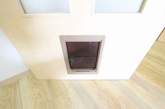 ヴァンドゥーズのその他