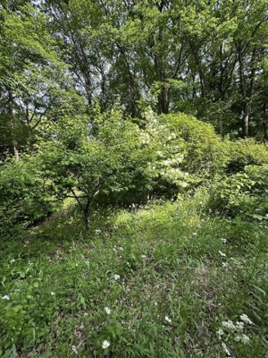 【庭】 | 那須郡那須町大字富岡　400万円　中古住宅