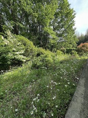 【庭】 | 那須郡那須町大字富岡　400万円　中古住宅