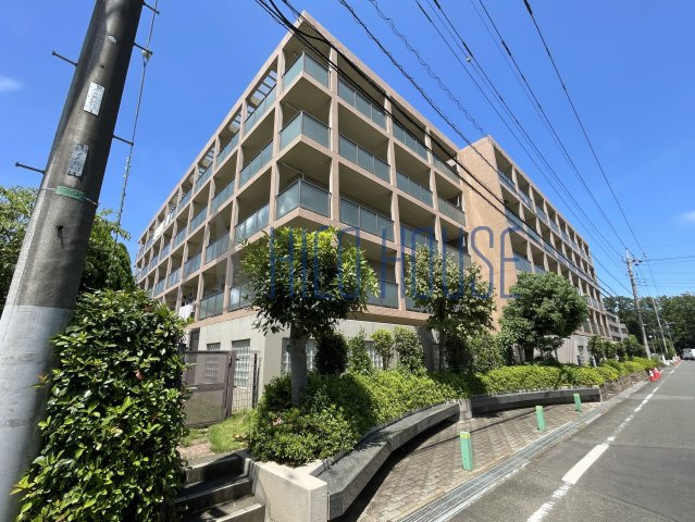 ウィスタリア　オーク