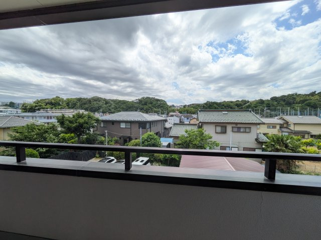 レーベンシュロス生田の展望