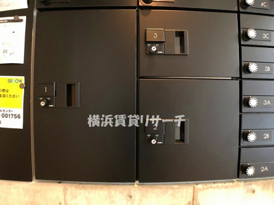  | バックウィートタナカ