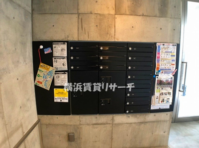  | バックウィートタナカ