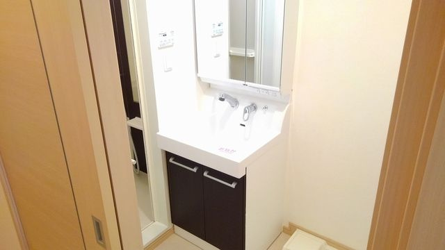グランデ尼崎の洗面所
