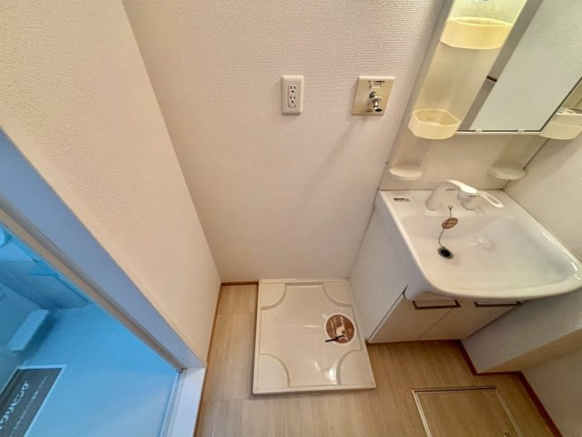 ウィル山崎の洗面所