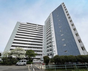 戸山ハイツ27号棟の画像
