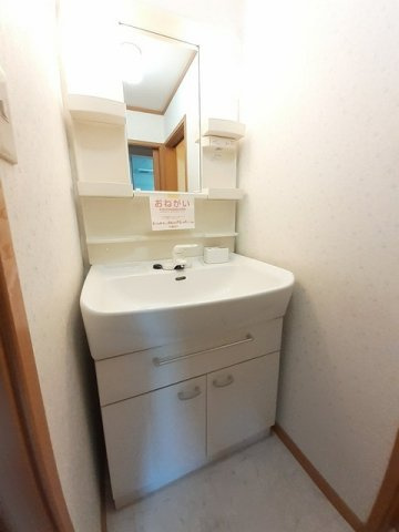 サンリット　パレスＡの洗面所