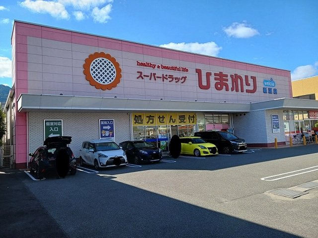 シティハイツ田辺の周辺|スーパードラッグひまわり新涯店まで700m