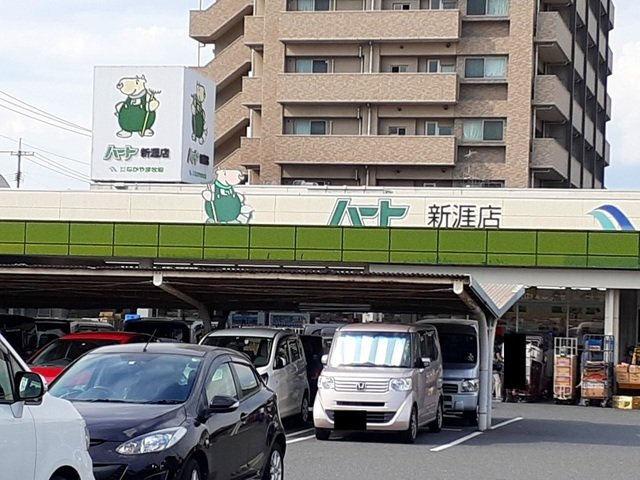 フローレンスⅡＡの周辺|ハート新涯店まで450m