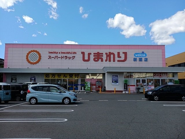 サンテールの周辺|ひまわり新涯店まで120m