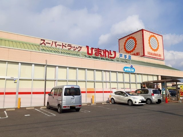 シティハイツ林の周辺|ひまわり戸手店まで350m