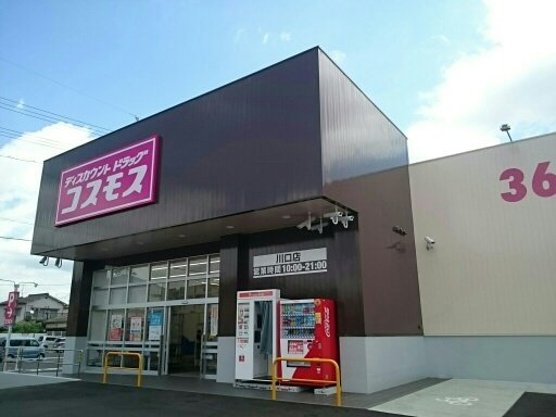 エヴァーグリーンＢの周辺|コスモス川口店まで800m