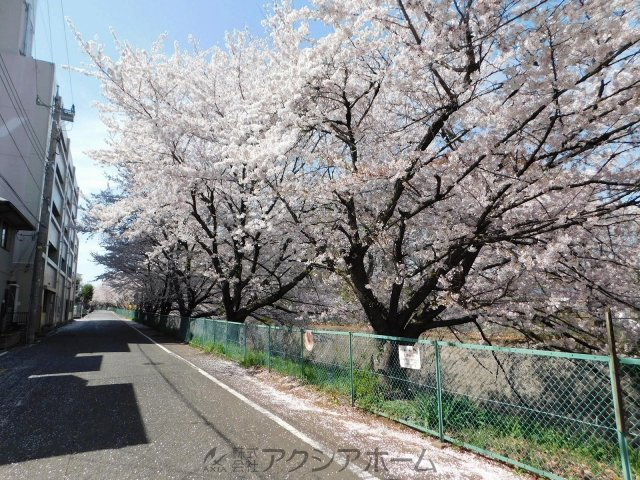 ワコーレ東所沢のその他|前面道路
