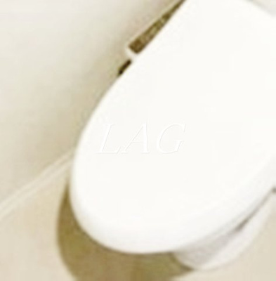 【トイレ】 | メイクス氷川台アジールコート | トイレです。