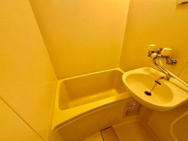 リッチウォーク市役所前　A棟の洗面所