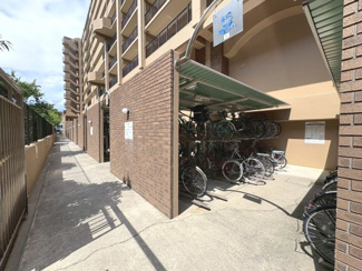 【駐輪場】 | ファミールガーデン二条駅前　南棟 | 空き状況は要確認