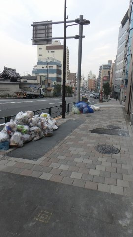グラシーナ文京の周辺