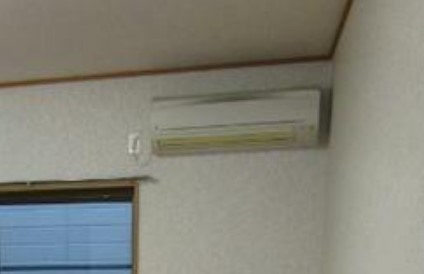 グリーンフラッツのその他