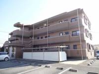 合志市幾久富の賃貸マンションの外観
