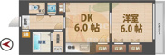 カシェの画像