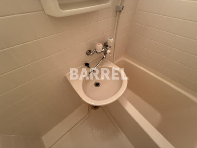 ロックベイシス2の洗面所