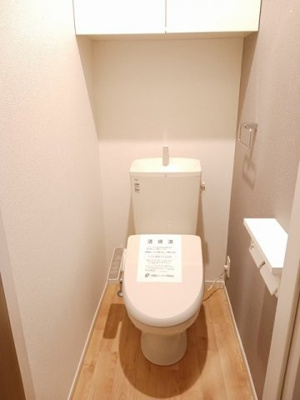 【トイレ】 | Ｓｏｒｔｅ１ | 落ち着いた色調のトイレです