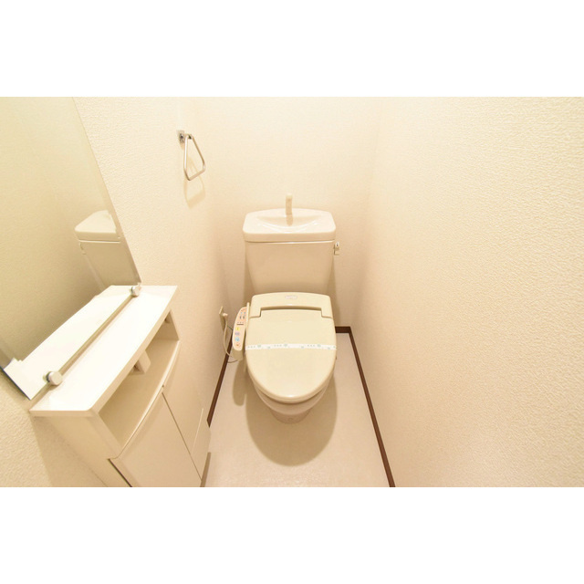 ビスタ江坂南のトイレ