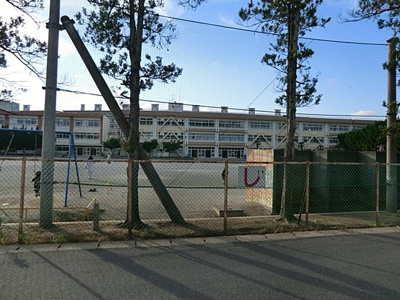 柏市立柏第七小学校まで900ｍ