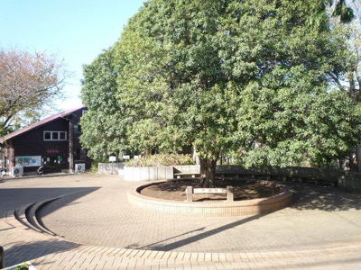 踊場公園まで500ｍ