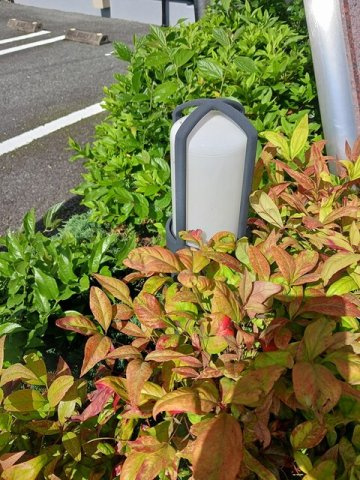 メゾン・アンジュ弐番館のその他