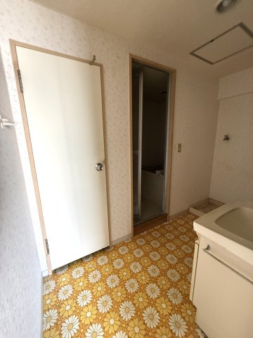 第二駅南ハイツの洗面所