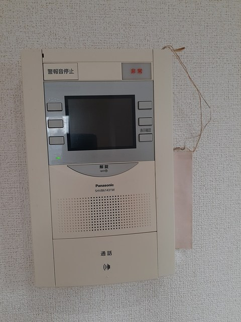 パルティール・アサクサのセキュリティ