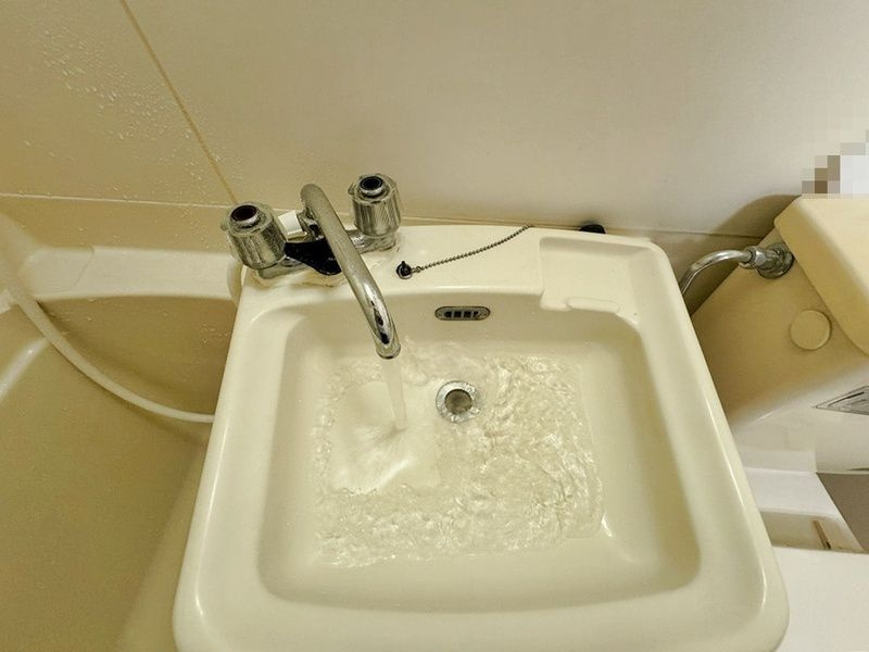 深谷市上柴町東５丁目の賃貸マンションの洗面所