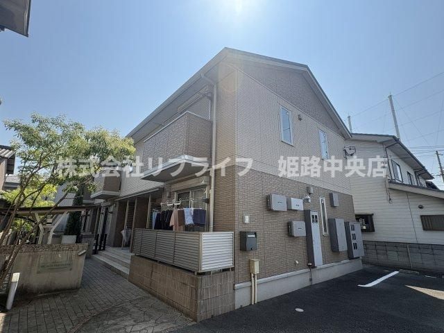 ピーチヒロハタ