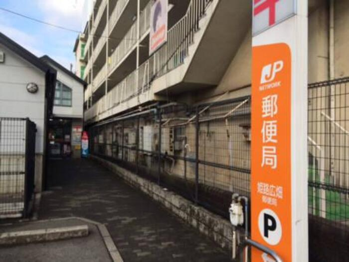 ピーチヒロハタの周辺