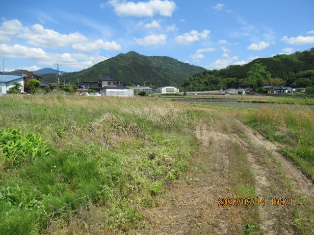 津山市加茂町桑原 売土地538坪の外観