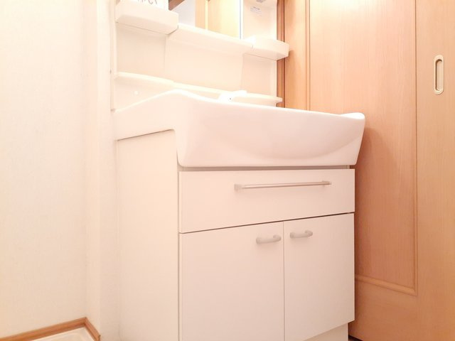 ドゥーメゾン　ＮⅡの洗面所