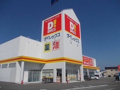 メゾンアネシスの周辺|ダイレックス板野店様まで850m