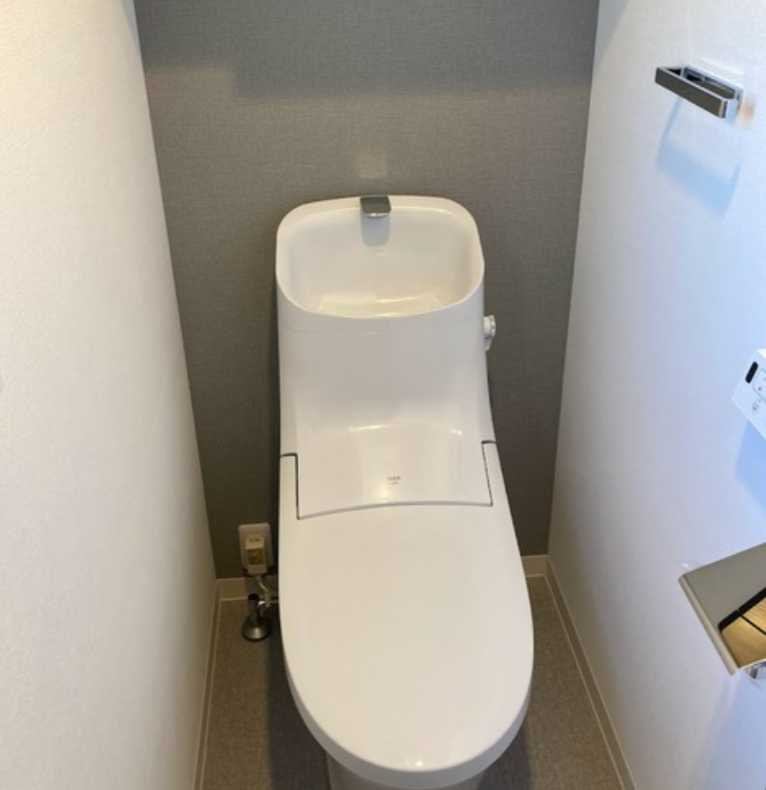 GRAND三軒茶屋WEST　築浅　駅近　ネット無料　ペット相談可のトイレ