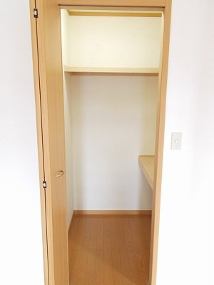 グリーンハイツＢの収納