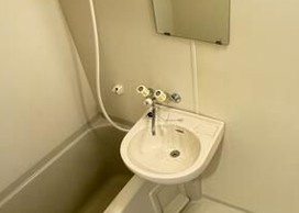 相模原市中央区相模原５丁目の賃貸マンションの洗面所