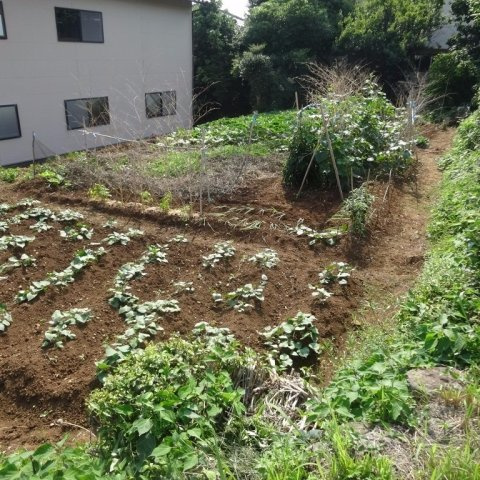 原分町売土地の外観