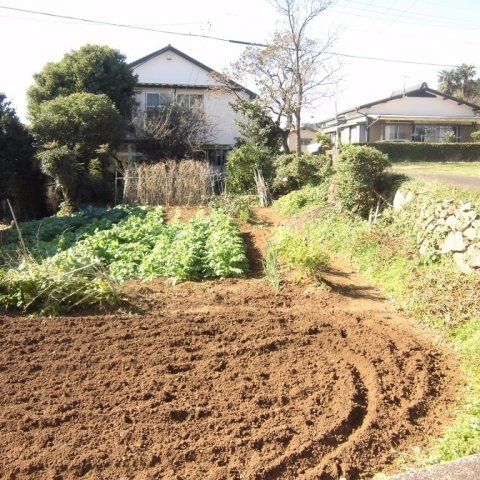 原分町売土地の外観
