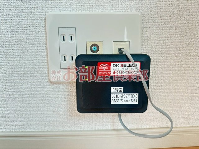 アレグリアのその他