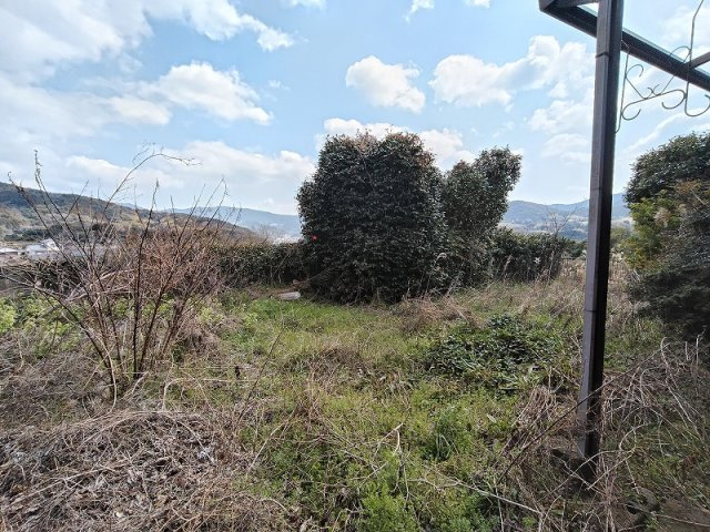 松瀬町平家建ての庭
