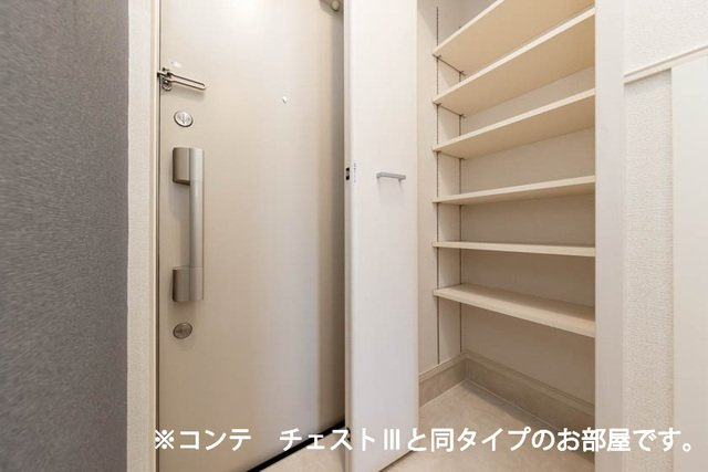 ユニゾン　アザレアⅡの玄関|収納もある玄関です