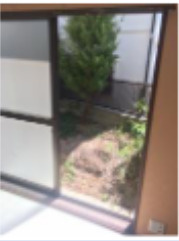 旭が丘3戸建の庭