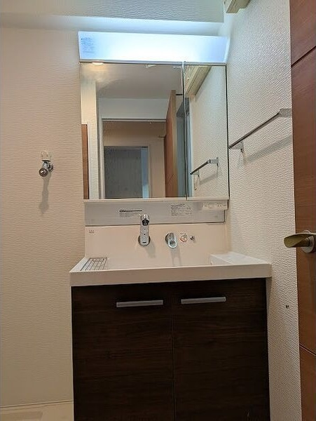 sho　style　HAKATAの洗面所
